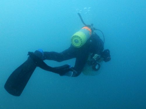 深場に潜っていく西平さん(写真)