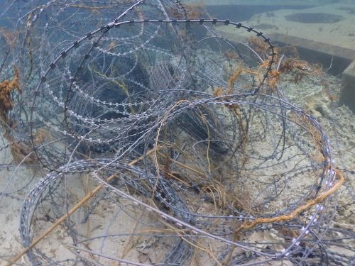 刺鉄線(写真)