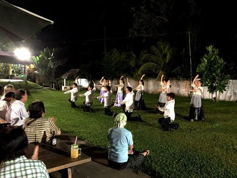 夜、ライトアップされた庭でダンスを鑑賞する参加者の写真