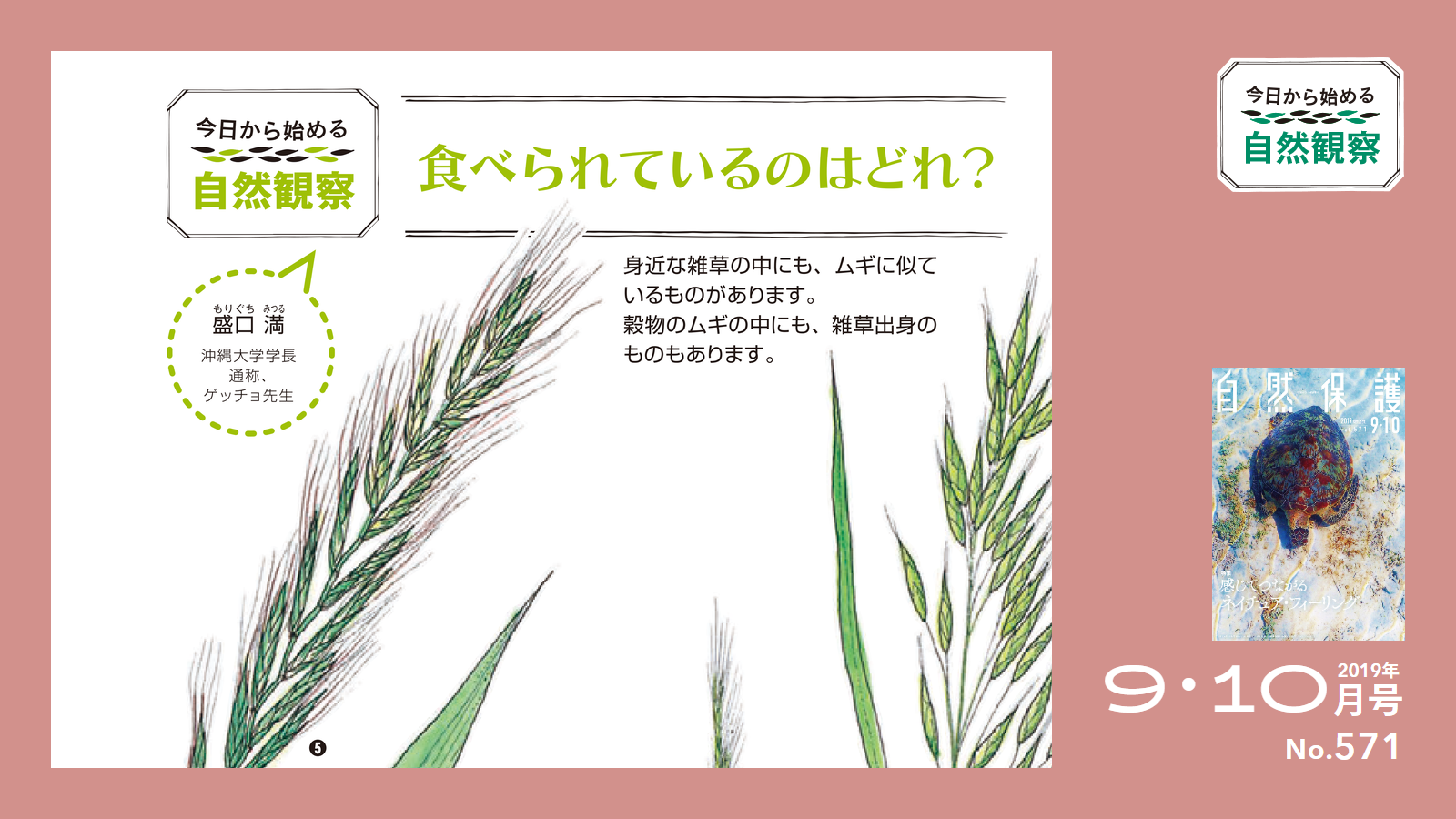 571号「今日からはじめる自然観察」ゲッチョ先生アイキャッチ