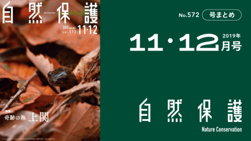 会報『自然保護』No.572　2019年11・12月号　特集：奇跡の海、上関