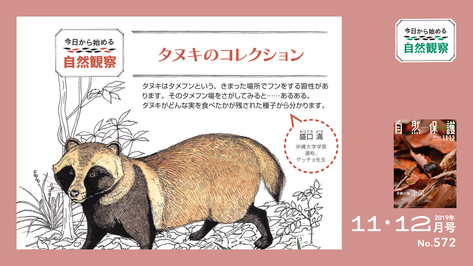 北タヌキ保護協会 タヌキのコレクション【今日からはじめる自然観察】 | 知ろう、自然の