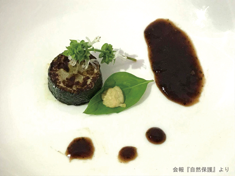培養肉を使った料理