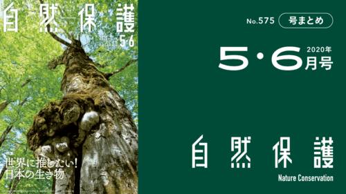 会報『自然保護』No.575　2020年5・6月号　特集：世界に推したい！日本の生き物