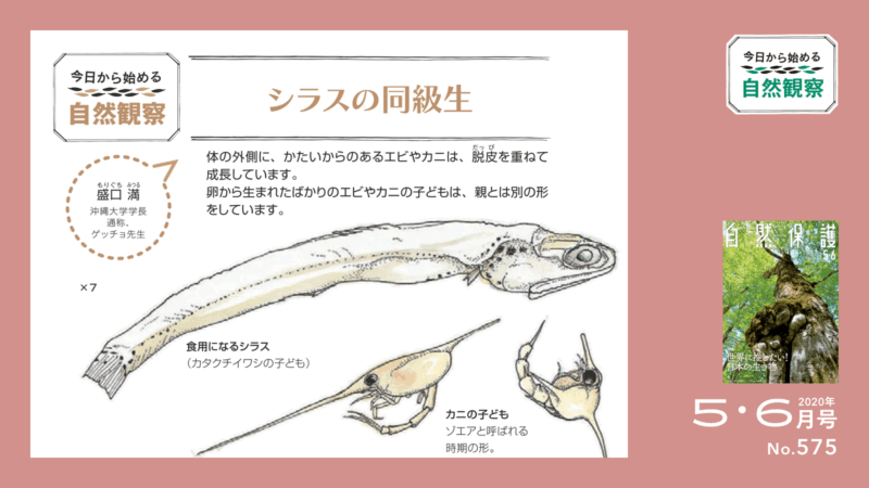 今日から始める自然観察タイトル画像