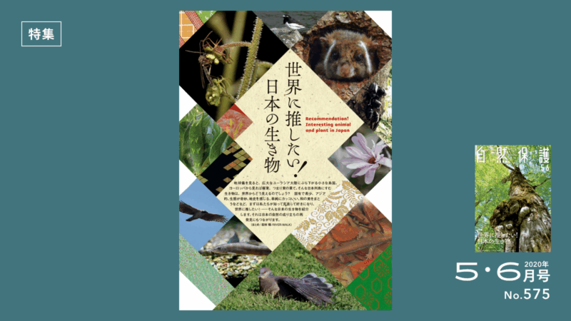 特集「世界に推したい！日本の生き物 」
