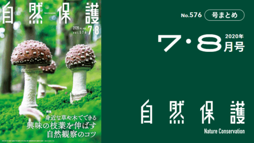 会報『自然保護』No.576　2020年7・8月号　特集：身近な草や木でできる、興味の枝葉を伸ばす自然観察のコツ