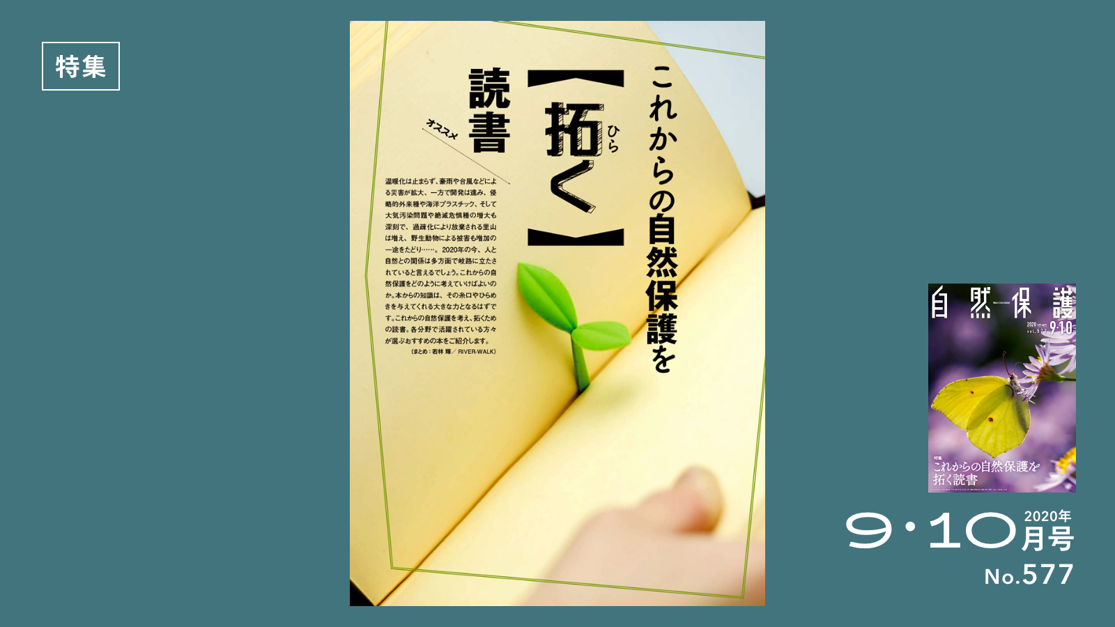 特集記事のタイトル画像