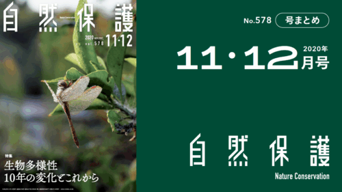 会報『自然保護』No.578　2020年11・12月号　特集：生物多様性 10年の変化とこれから