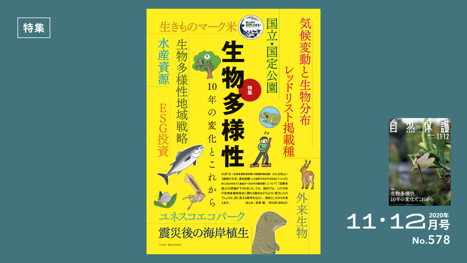 578号特集アイキャッチ