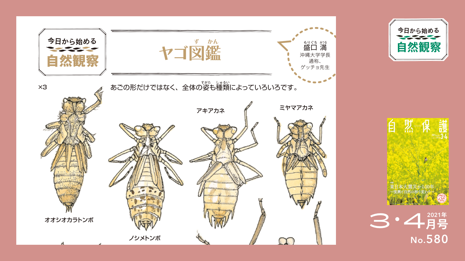 今日から始める自然観察タイトル画像