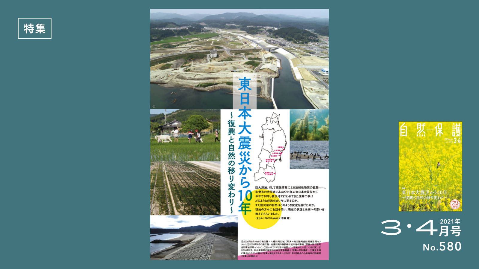 特集記事のタイトル画像