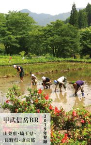 森林と田んぼの画像
