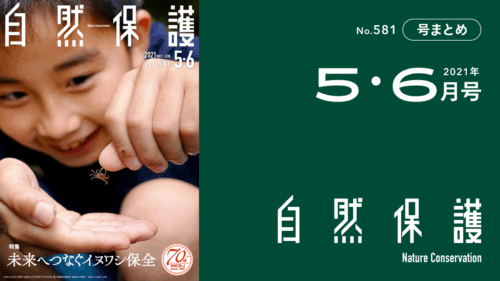 会報『自然保護』No.581　2021年5・6月号　特集：未来へつなぐイヌワシ保全