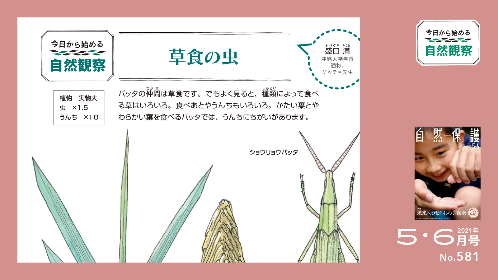 今日から始める自然観察のタイトル画像