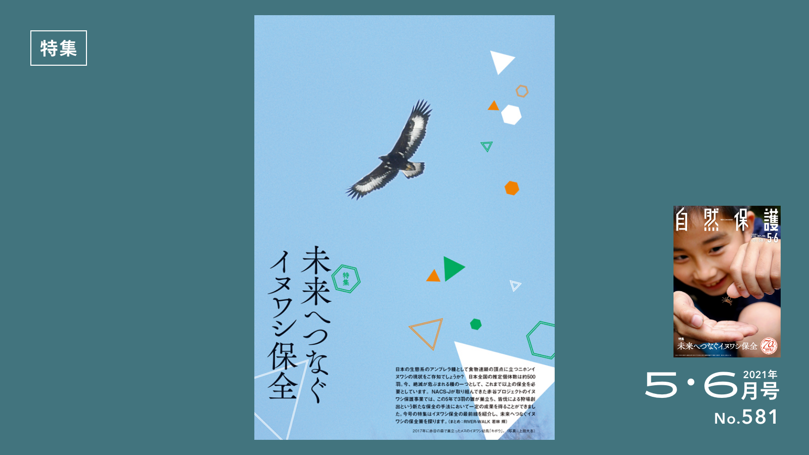 特集記事のタイトル画像