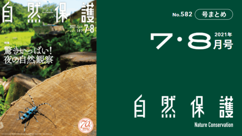 会報『自然保護』No.582　2021年7・8月号　特集：驚きいっぱい！夜の自然観察