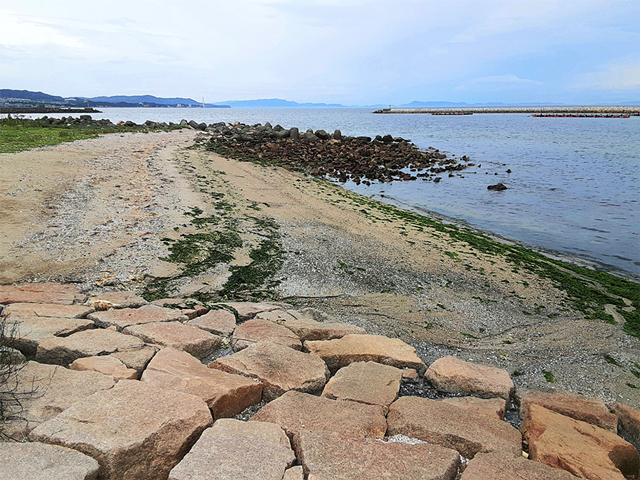 尾崎海岸の写真
