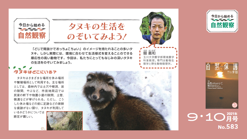583号今日からはじめる自然観察アイキャッチ