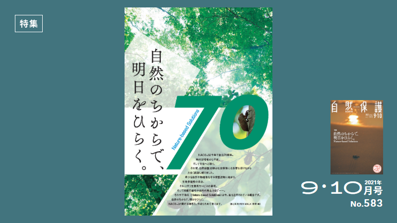 583号特集アイキャッチ