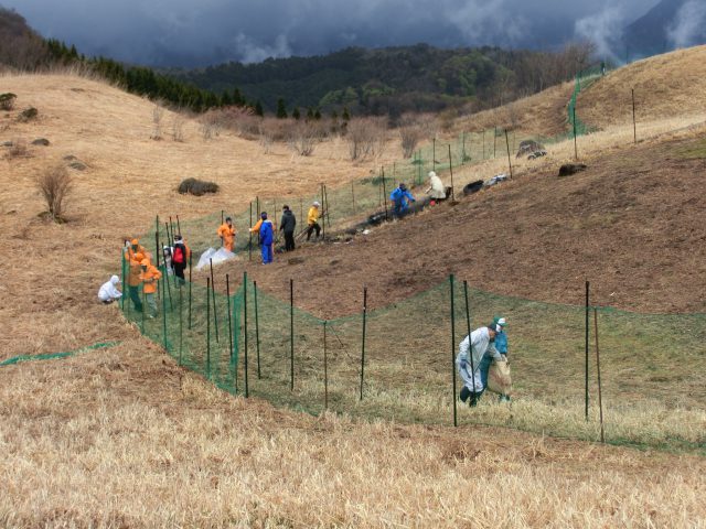 防鹿柵の設置の様子