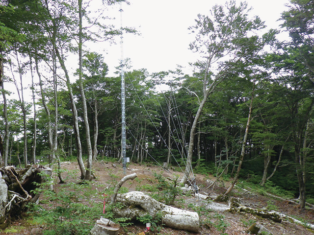 風況調査の鉄塔の写真