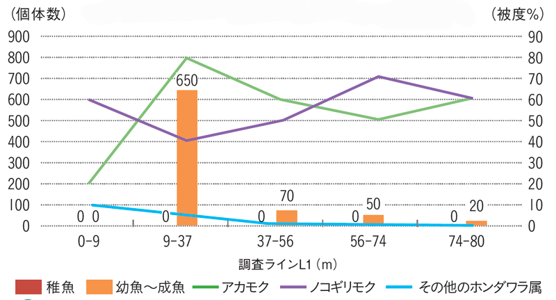 個体数と被度の関係を示したグラフの画像