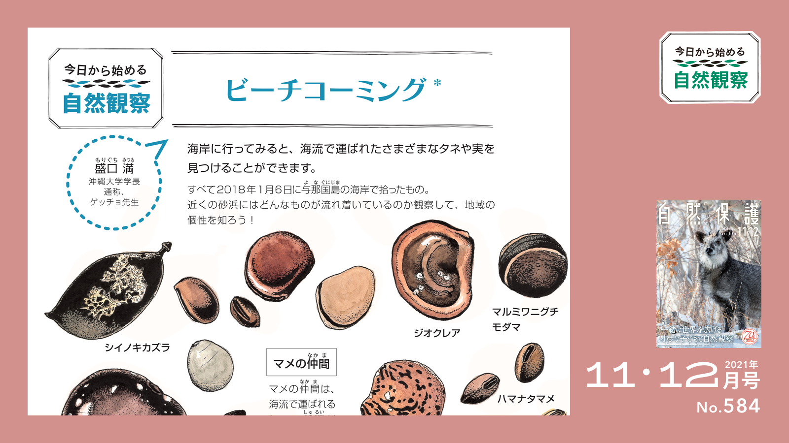 今日から始める自然観察タイトル画像