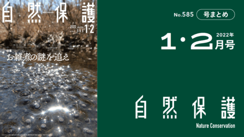 会報『自然保護』No.585　2022年1・2月号　特集:お雑煮の謎を追え