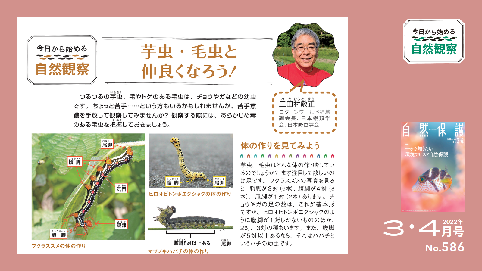 配布資料】今日から始める自然観察「芋虫・毛虫と仲良くなろう 配布資料】今日から始める自然観察「芋虫・毛虫と仲良くなろう