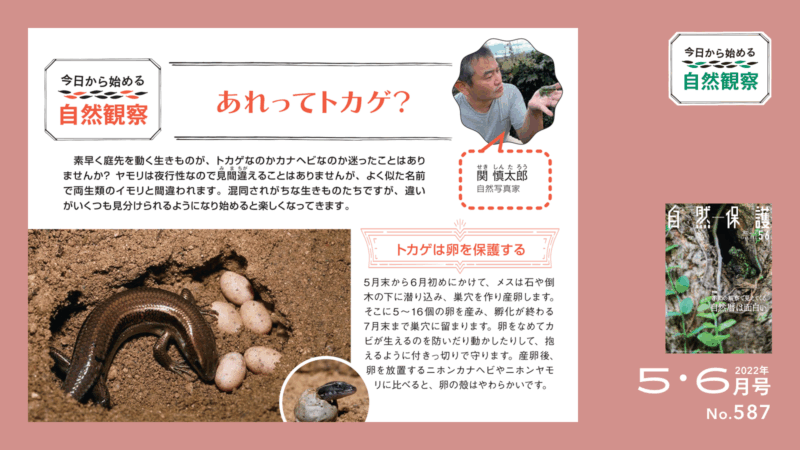 今日からはじめる自然観察タイトル画像