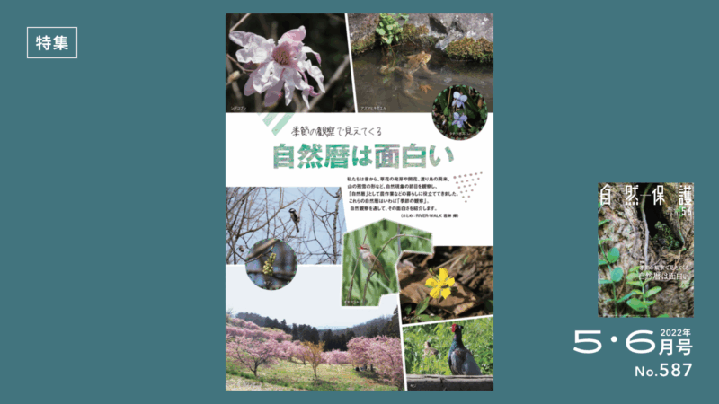 特集記事タイトル画像
