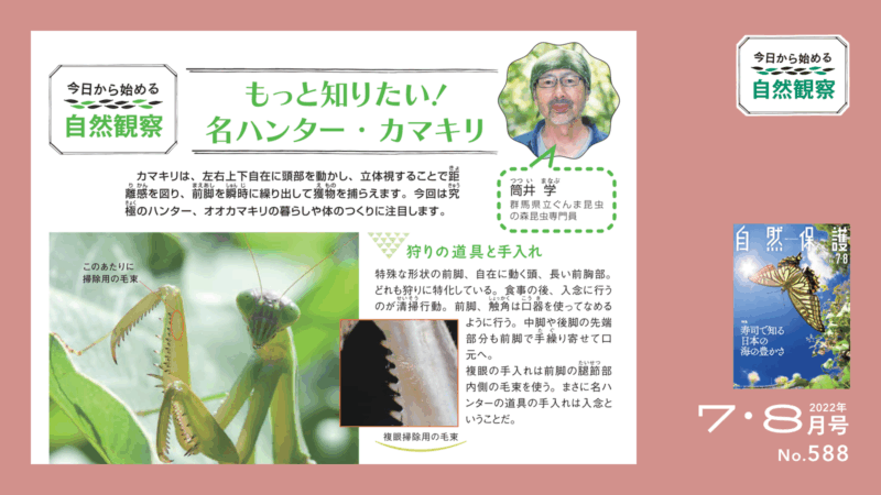 今日からはじめる自然観察タイトル画像
