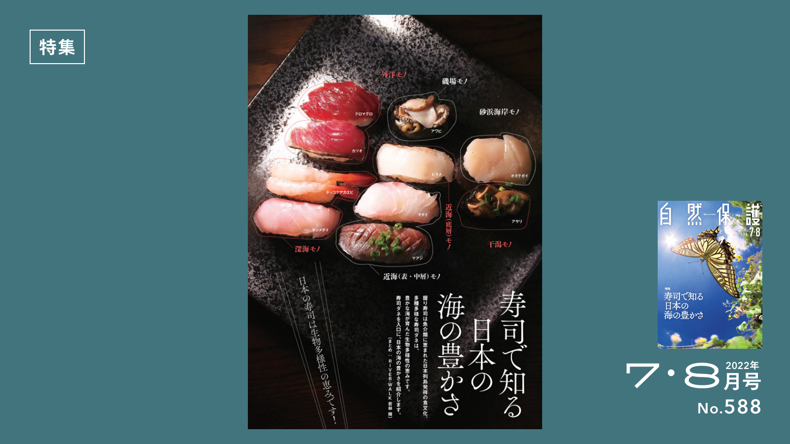 特集記事のタイトル画像