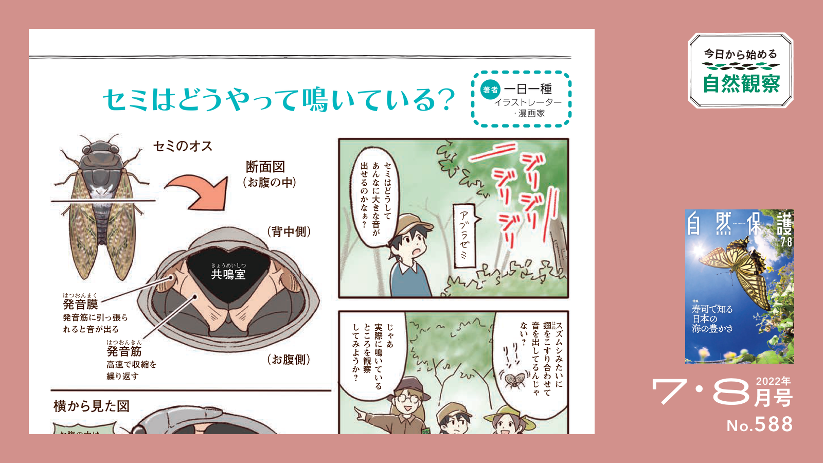 今日から始める自然観察のタイトル画像