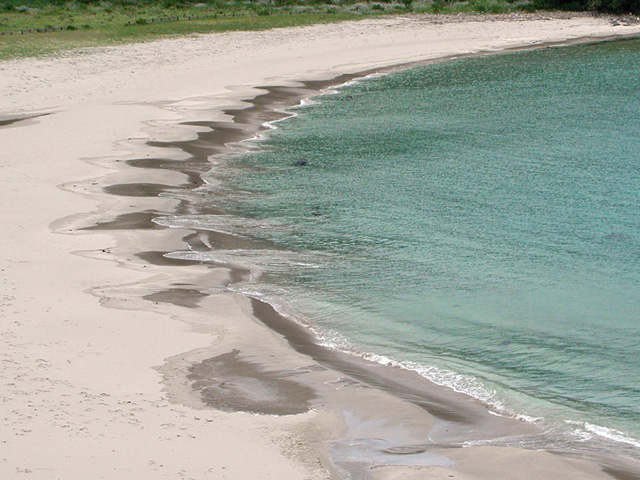 山口県二位ノ浜のカスプ