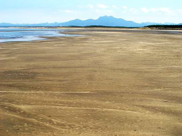 鹿児島県吹上浜の干潟