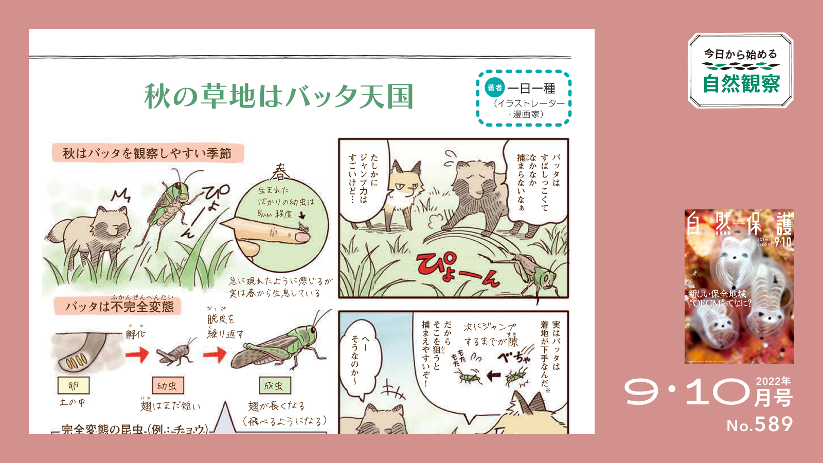 今日から始める自然観察のタイトル画像