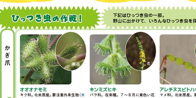 ひっつき虫の作戦