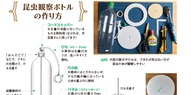 昆虫観察ボトルの作り方