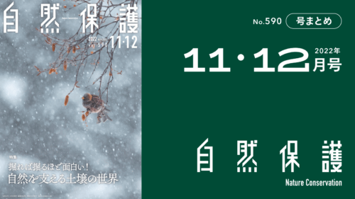 会報『自然保護』No.590　2022年11・12月号　特集:掘れば掘るほど面白い！自然を支える土壌の世界