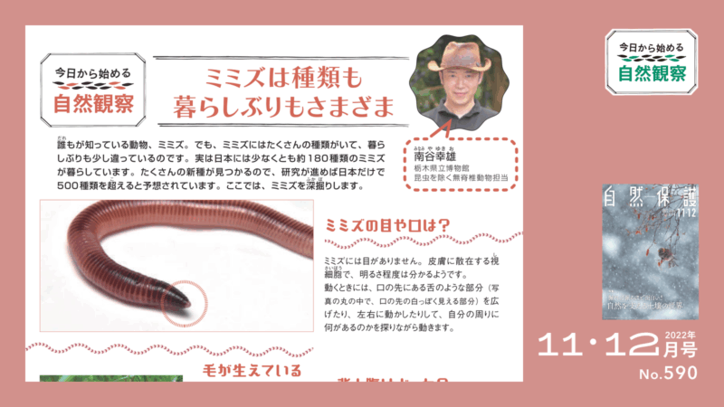 今日からはじめる自然観察タイトル画像
