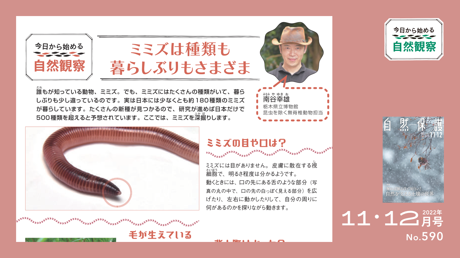 配布資料】今日から始める自然観察「ミミズは種類も暮らしぶりも