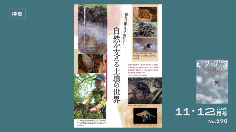 特集記事タイトル画像