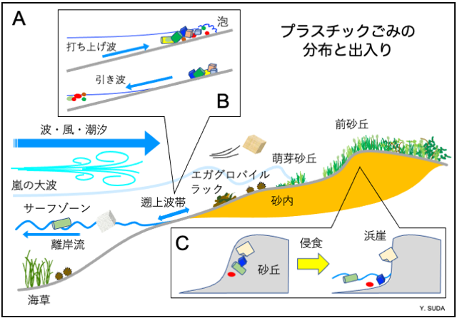 プラスチックごみの分布と出入り