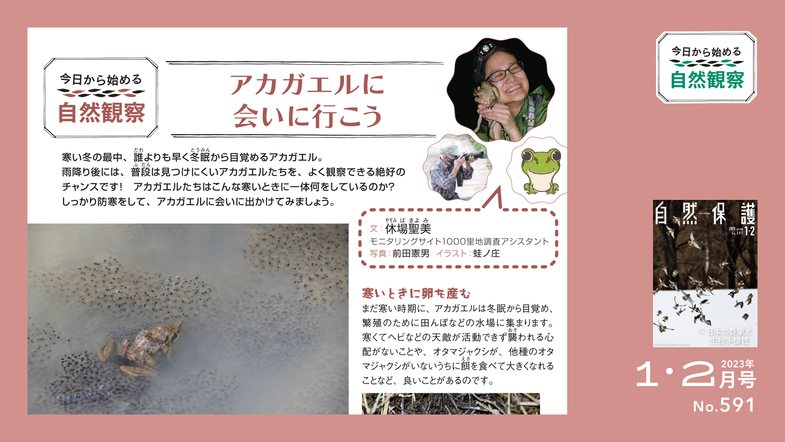 配布資料】今日から始める自然観察「アカガエルに会いに行こう」 | 知