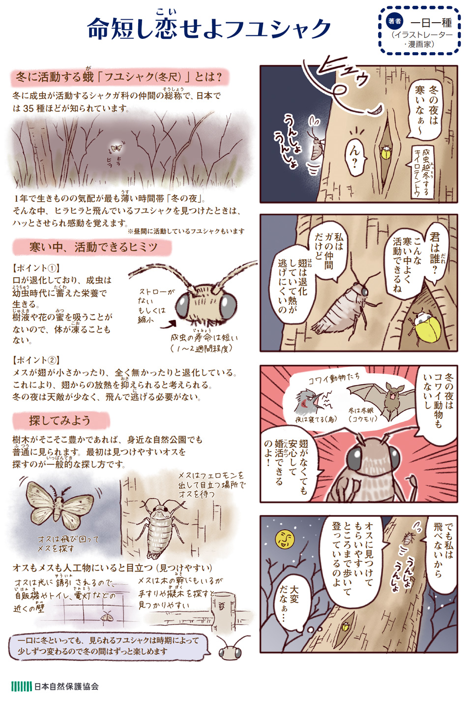 4コマ漫画の画像
