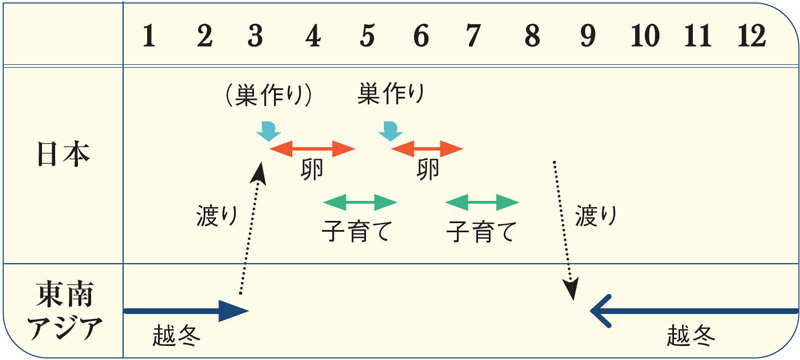 年表図