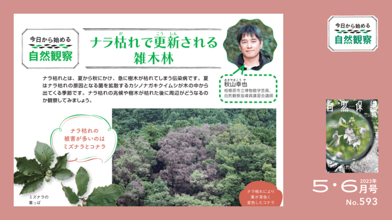 今日からはじめる自然観察タイトル画像