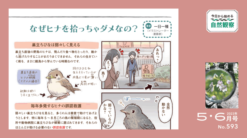 今日からはじめる自然観察２のタイトル画像